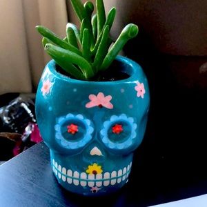 Plants- PRIVATE BUNDLE